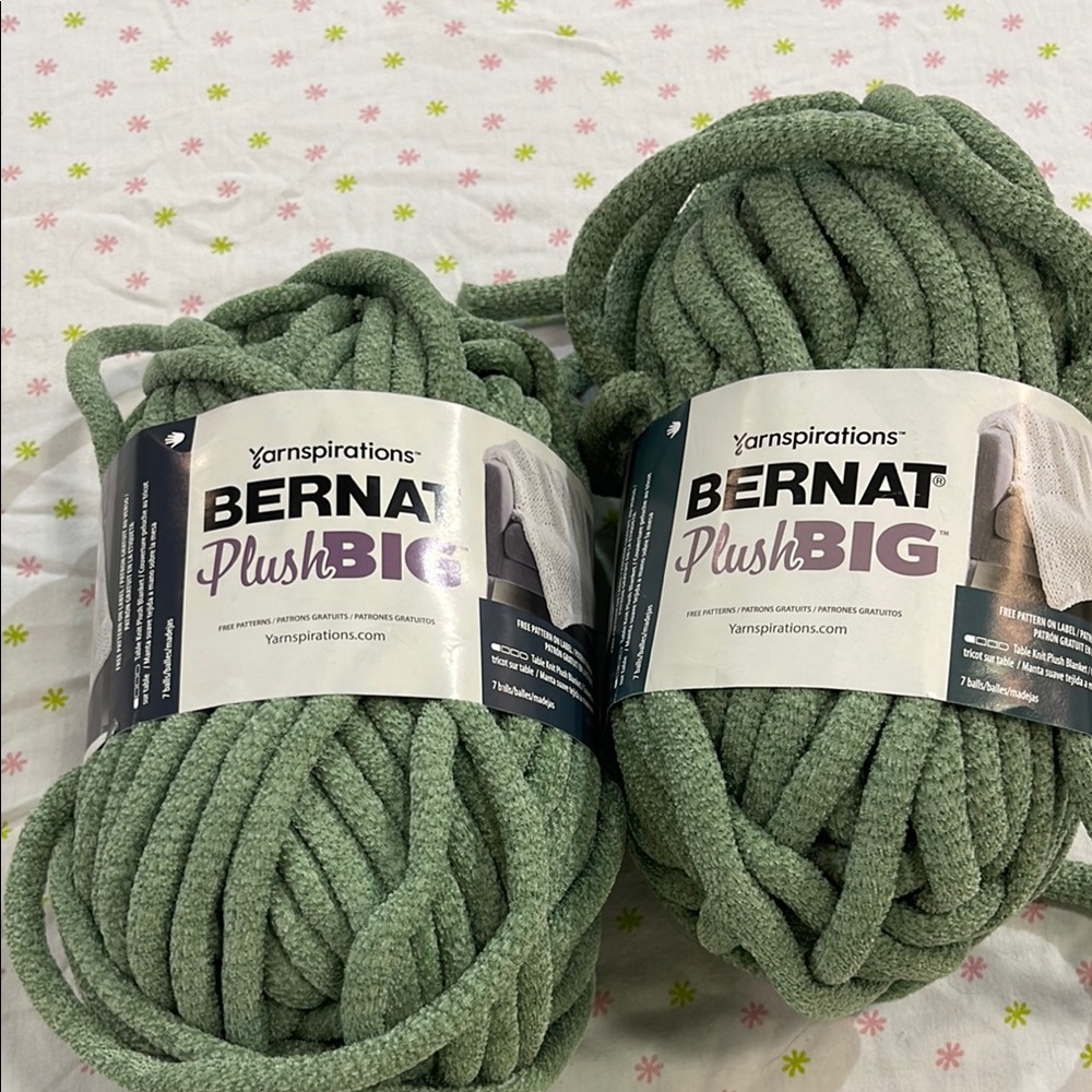 Bernat Plush Big Yarn in Green